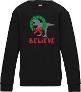 Picture of Children's Dinosaur Christmas Sweatshirt Dino Fan Santa Xmas Jumper Day 3 Designs Boy Girl