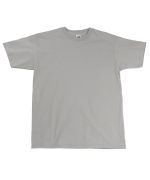 Picture of Men's Fruit of The Loom Premium T Shirt