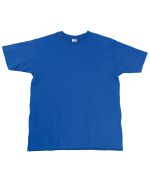 Picture of Men's Fruit of The Loom Premium T Shirt