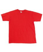 Picture of Men's Fruit of The Loom Premium T Shirt