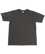 Picture of Men's Fruit of The Loom Premium T Shirt