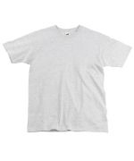 Picture of Men's Fruit of The Loom Premium T Shirt