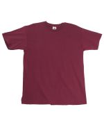 Picture of Men's Fruit of The Loom Premium T Shirt