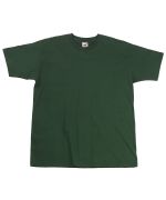 Picture of Men's Fruit of The Loom Premium T Shirt