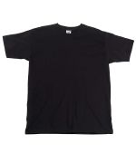 Picture of Men's Fruit of The Loom Premium T Shirt