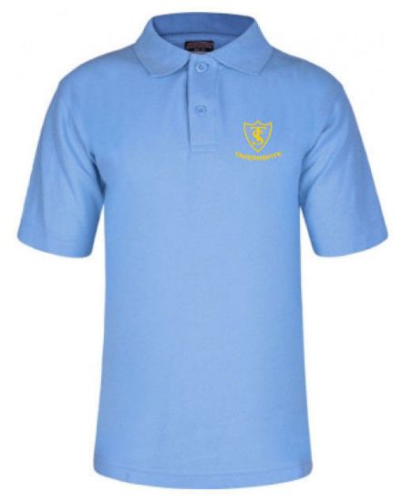 Picture of Tavernspite School Polo Shirt