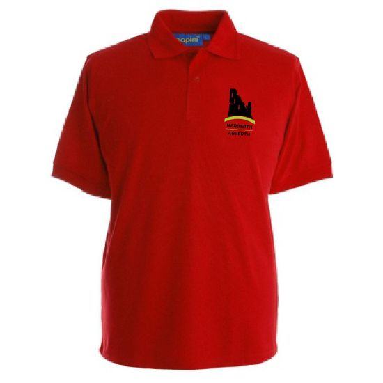 Picture of Narberth School Polo Shirt