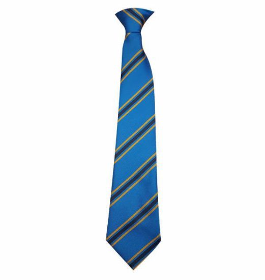 Picture of Caer Elen Clip On Tie