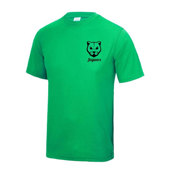 Picture of Jaguars Sports T-Shirt