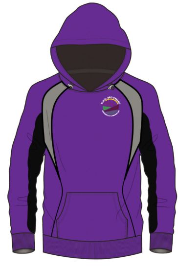 Picture of Ysgol Bro Preseli Sports Hoodie